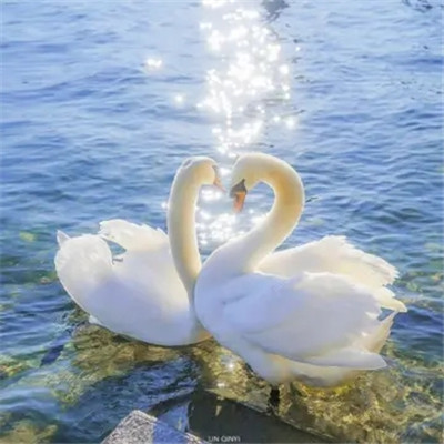 2023最潮最简单的头像(共16张)