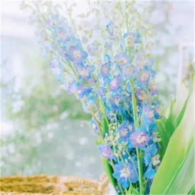 2023最潮最简单的头像(共16张)