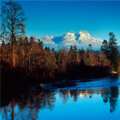 风水上最好的微信头像(优选16张)