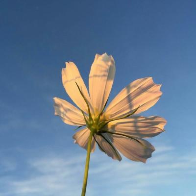 最佳风水头像图片大全(16张)