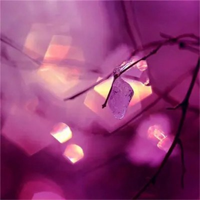 2023年最火爆微信头像女(20张)