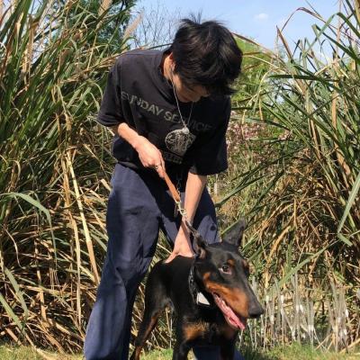 帅气有气质的男生头像(共18张)