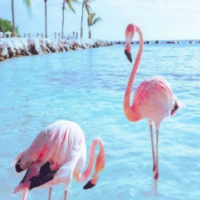 可爱女生风景头像(精选18张)