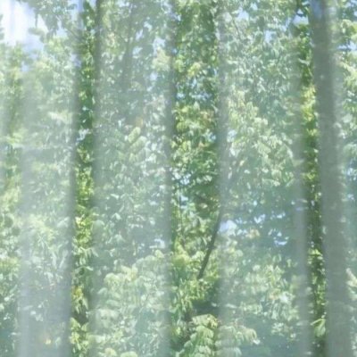 可爱女生风景头像(精选18张)