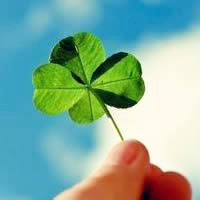 微信头像图片大全清新四叶草(精选18张)