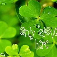 微信头像图片大全清新四叶草(精选18张)