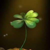 微信头像图片大全清新四叶草(精选18张)