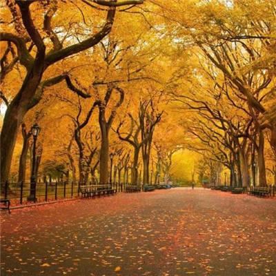 1623年最美的微信头像(20张)