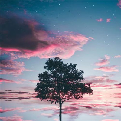 1623年最美的微信头像(20张)