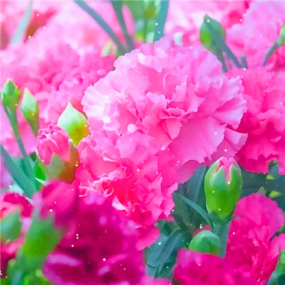 2023年最佳头像(16张)