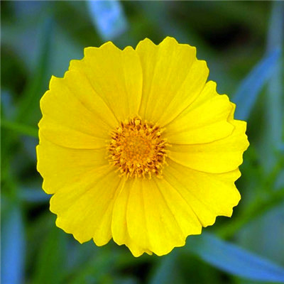 2023年最佳头像(16张)