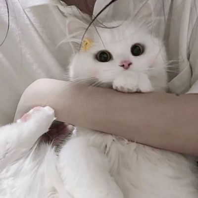 2023可可爱爱又很萌的情头(共18张)