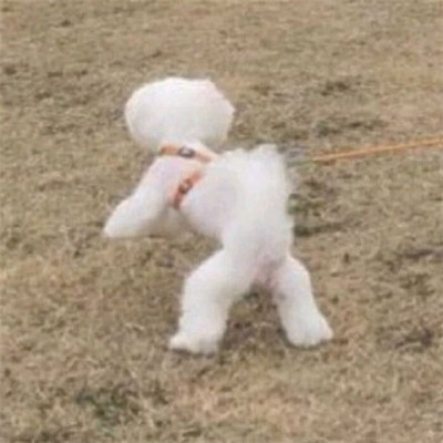 很新颖很好看的质感情头(18张)