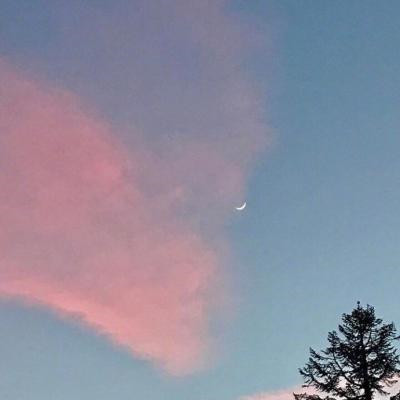 最火2023图片头像(共22张)