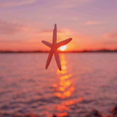 最火2023图片头像(共22张)