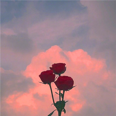 2023最美带好运的风景头像(精选18张)