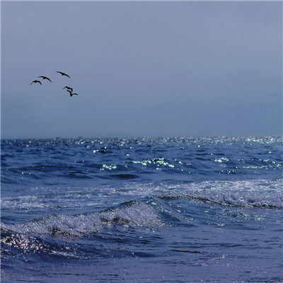 2023最美带好运的风景头像(精选18张)