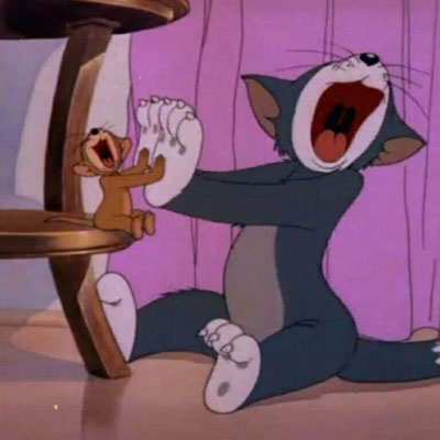 杰瑞汤姆情侣头像一人一张(36张)