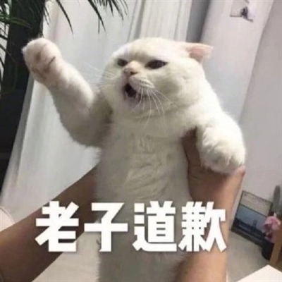 一组吵架道歉专用文字头像(优选16张)