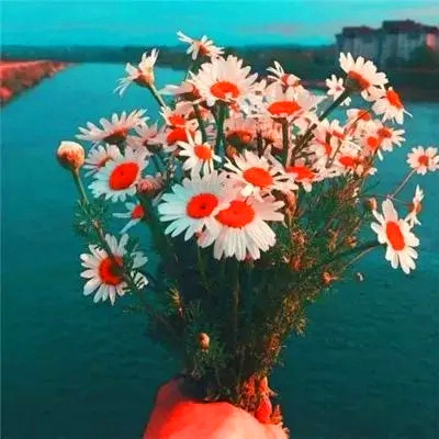 高清好看很灵的转运微信头像图片(精选26张)