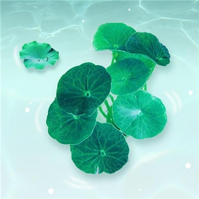 高清好看很灵的转运微信头像图片(精选26张)