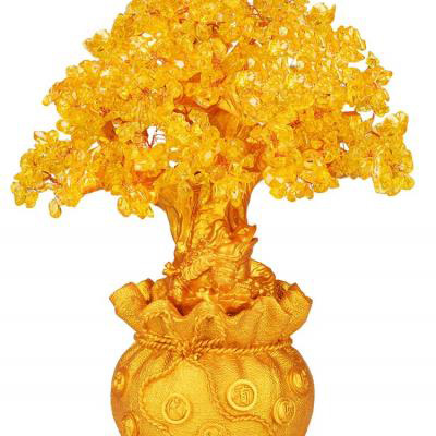 有助于事业成功的微信头像(20张)