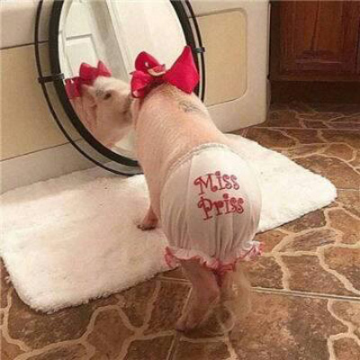 超级逗比的情侣头像图片(18张)