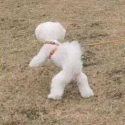 超级逗比的情侣头像图片(18张)