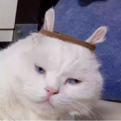 情侣头像搞怪奇葩两张(18张)