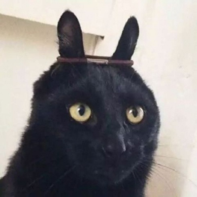 情侣头像搞怪奇葩两张(18张)