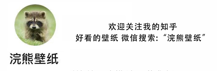 一眼就心动的男生头像图片(共16张)