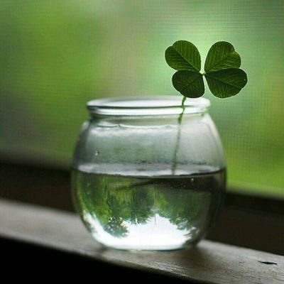 女人带财运的微信头像图片(16张)