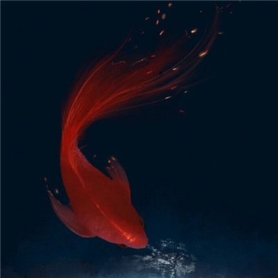 女人带财运的微信头像图片(16张)