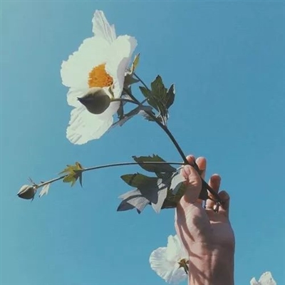 耐看头像用比较久头像(共16张)