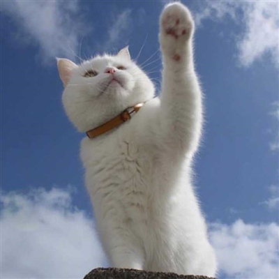 耐看头像用比较久头像(共16张)