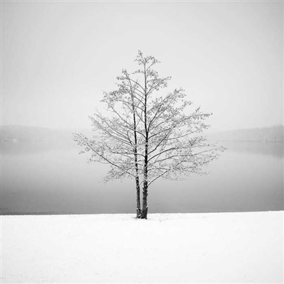 耐看头像用比较久头像(共16张)