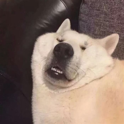 耐看头像用比较久头像(共16张)