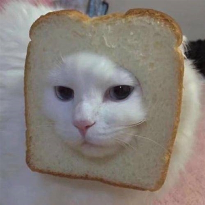 笑喷了的搞怪头像图片大全(优选18张)