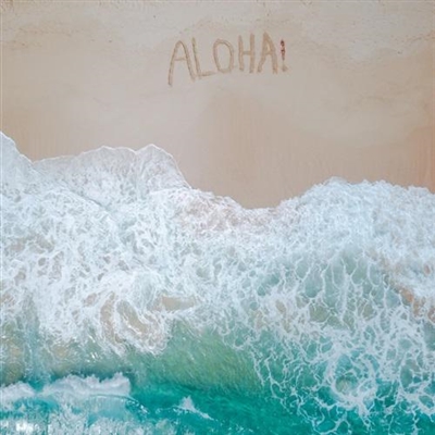 看海的微信头像图片大全(共18张)