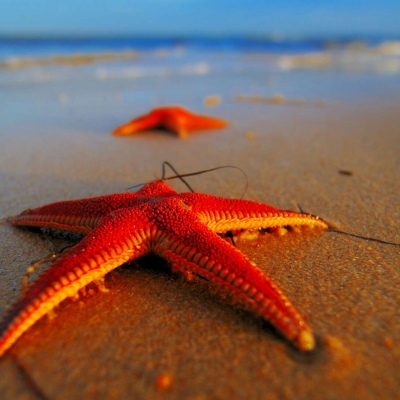 看海的微信头像图片大全(共18张)