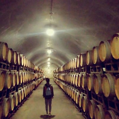 适合00后学生用的情侣头像(优选18张)