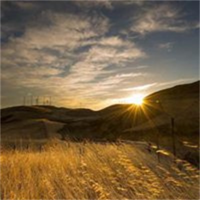 网上很火的景色头像图片(16张)