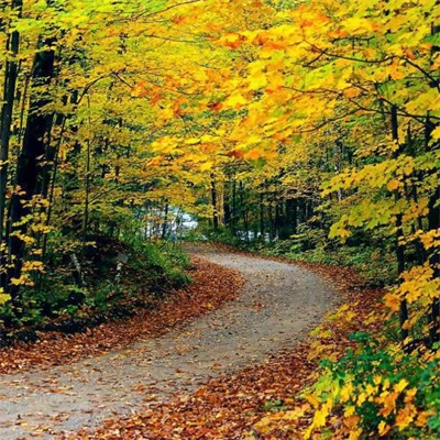 网上很火的景色头像图片(16张)