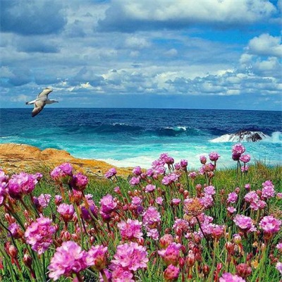 网上很火的景色头像图片(16张)