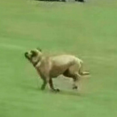 超级逗比的情侣头像图片(精选18张)