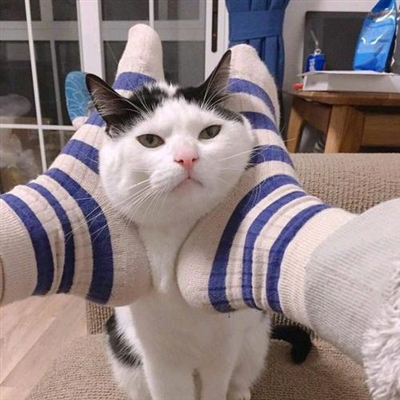 2023王者搞怪沙雕无厘头头像(共18张)