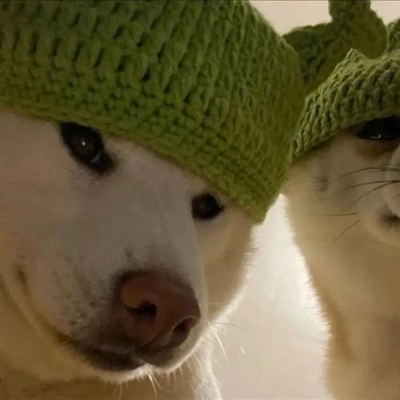 2023王者搞怪沙雕无厘头头像(共18张)