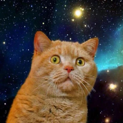 一看就知道脑子有病的头像(共18张)