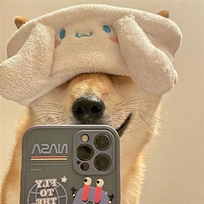 一看就知道脑子有病的头像(共18张)