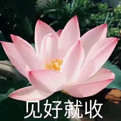 网上很火的老人头像(共16张)